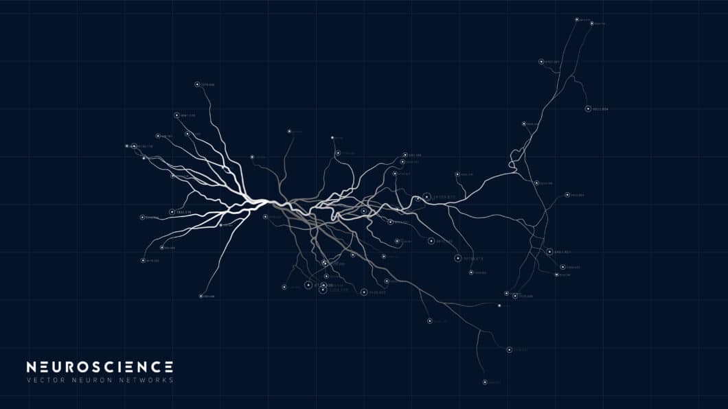 Was ist eine Small Fiber Polyneuropathie
